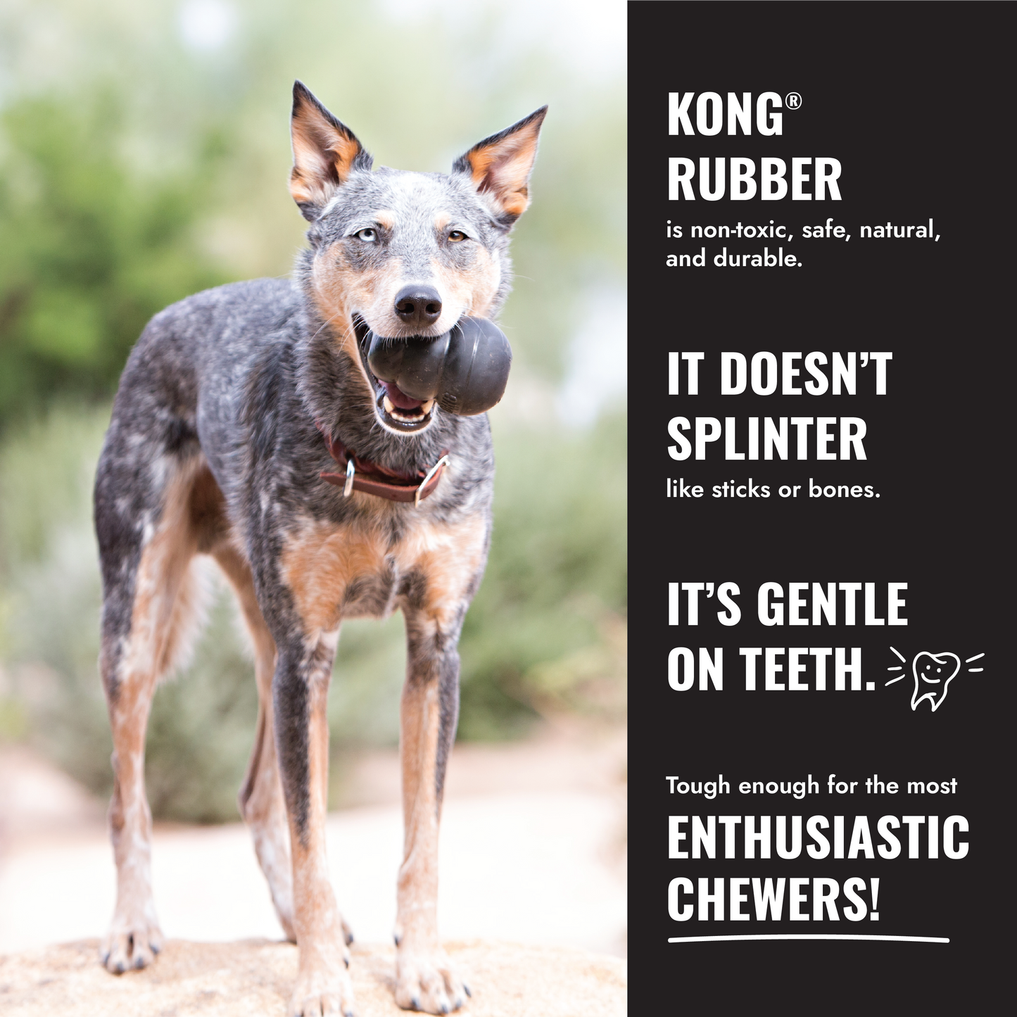 KONG Extreme Rubber Dog Toy | Heavy Duty Chew