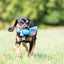 KONG Cozie | Brights Soft Dog Toy