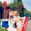 Pet Corrector | Dog Training | Behavioural Modification Spray