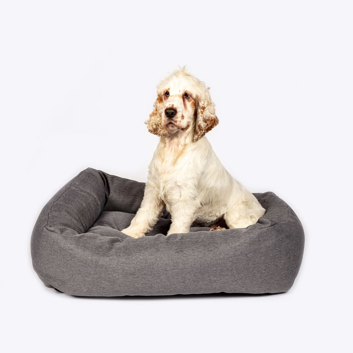 Danish Design Anti-Bacterial Dog Snuggle Bed - Grey
