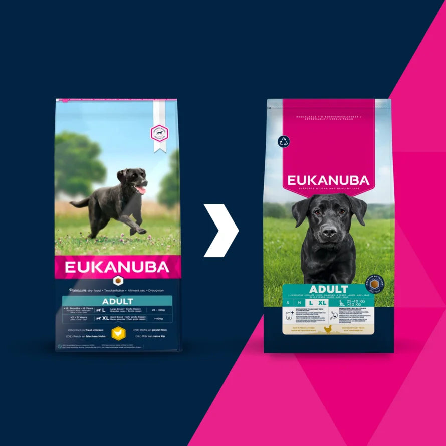 Eukanuba Adult Large Breed Chicken Dry Dog Food