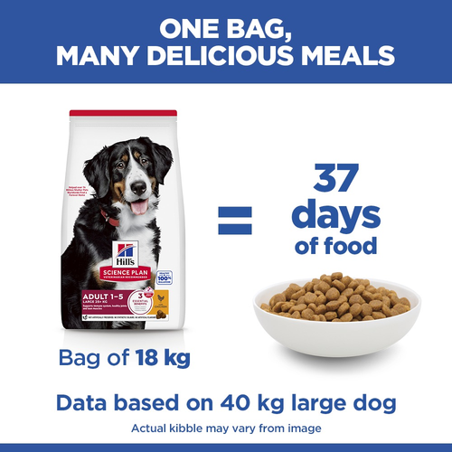 Hill's Science Plan Adult Chicken Large Breed Dry Dog Food