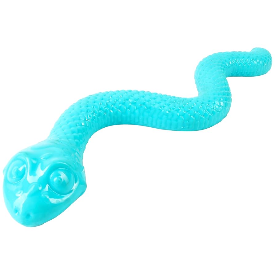 Turquoise snake-shaped dog toy on a white background