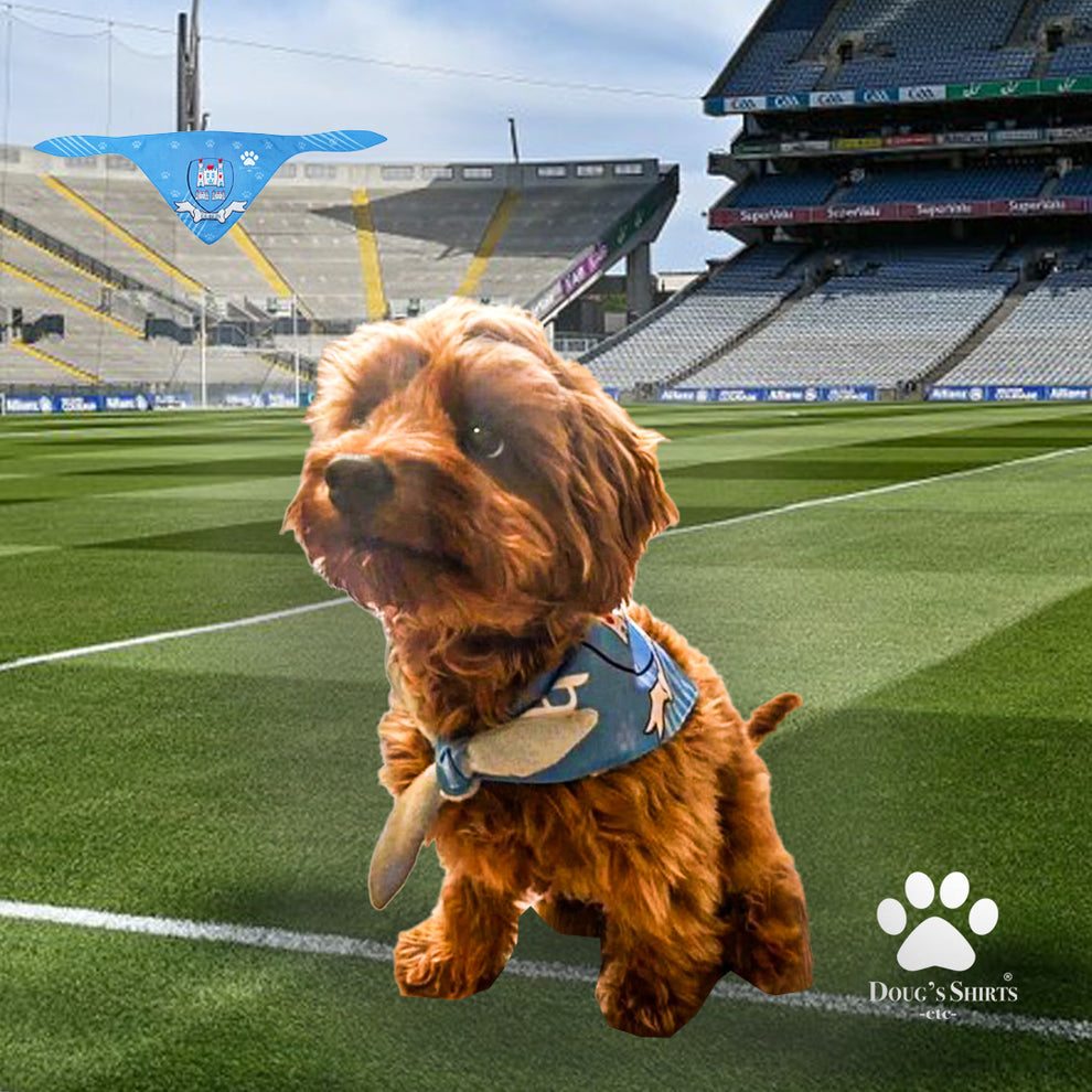 Dublin GAA Dog Bandana County Football Wear for Dogs