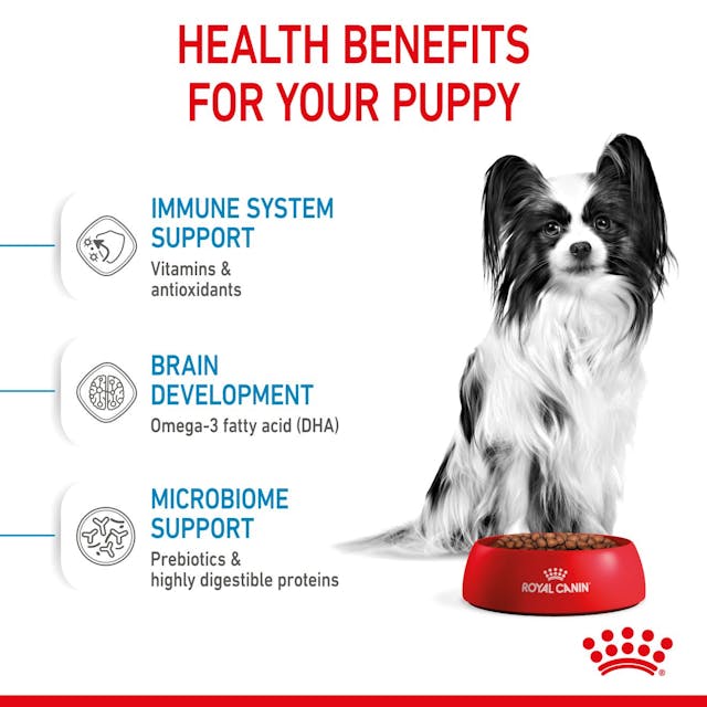 Royal Canin X-Small Puppy 🐕 Size Health Nutrition Dry Food for Tiny Dogs
