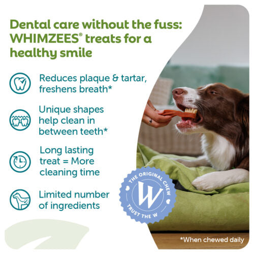 Whimzees Star Toothbrush Natural Dental Chew for Dogs