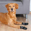 Trixie Non-Slip Dog Socks | Paw Protection & Anti-Slip Grip for Indoor Floors (2 Pack)