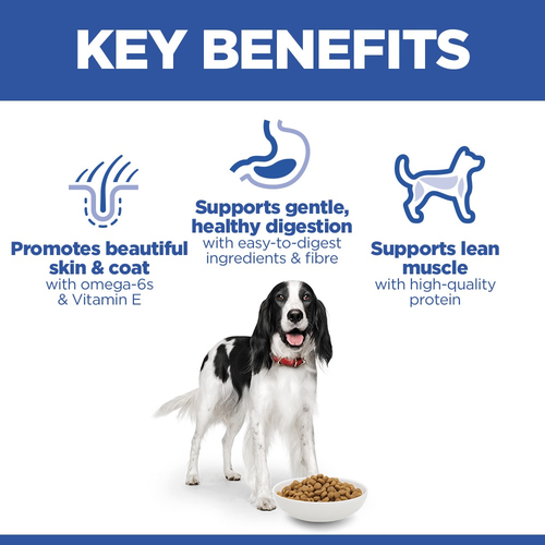 Hill's Science Plan Adult Chicken 🐔 Medium Breed Dry Dog Food