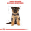 Royal Canin German Shepherd Junior Breed Health Nutrition Dry Dog Food
