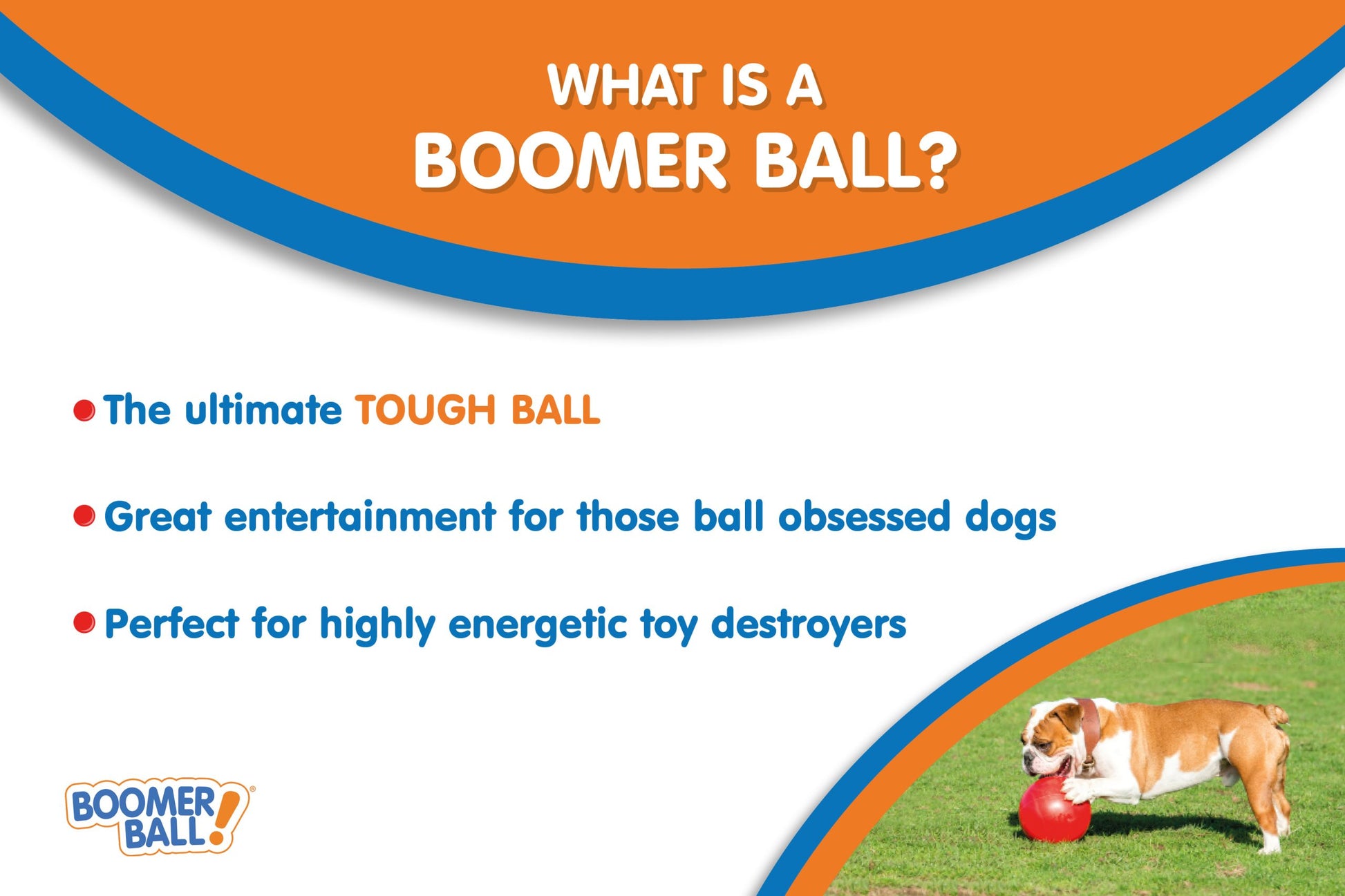 Advertisement for Boomer Ball with a dog playing and text about the product on a grassy background.