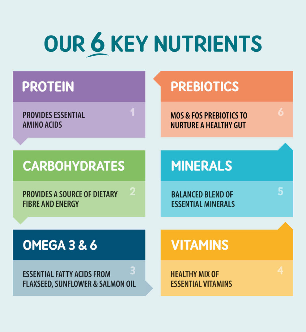 Naturo | Grain Free Wet Dog Food | Duck in Herb Gravy - 390g