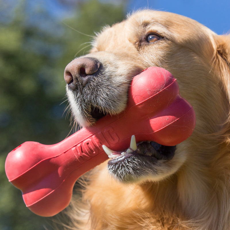 KONG Goodie Bone | Interactive Christmas Dog Toy