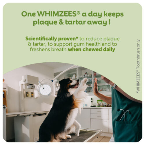 Whimzees Stix Natural Veggie Dental Chew for Dogs