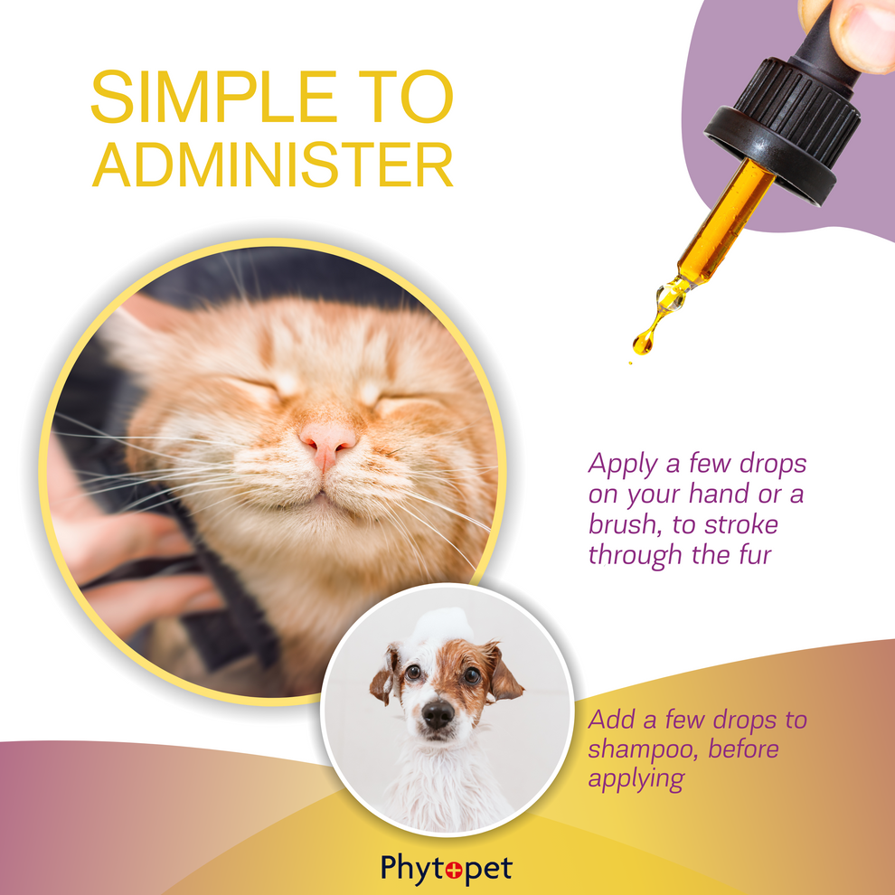 PhytoPet | Scratch | Natural Repellent for Fleas, Ticks, Flies & Other Insects