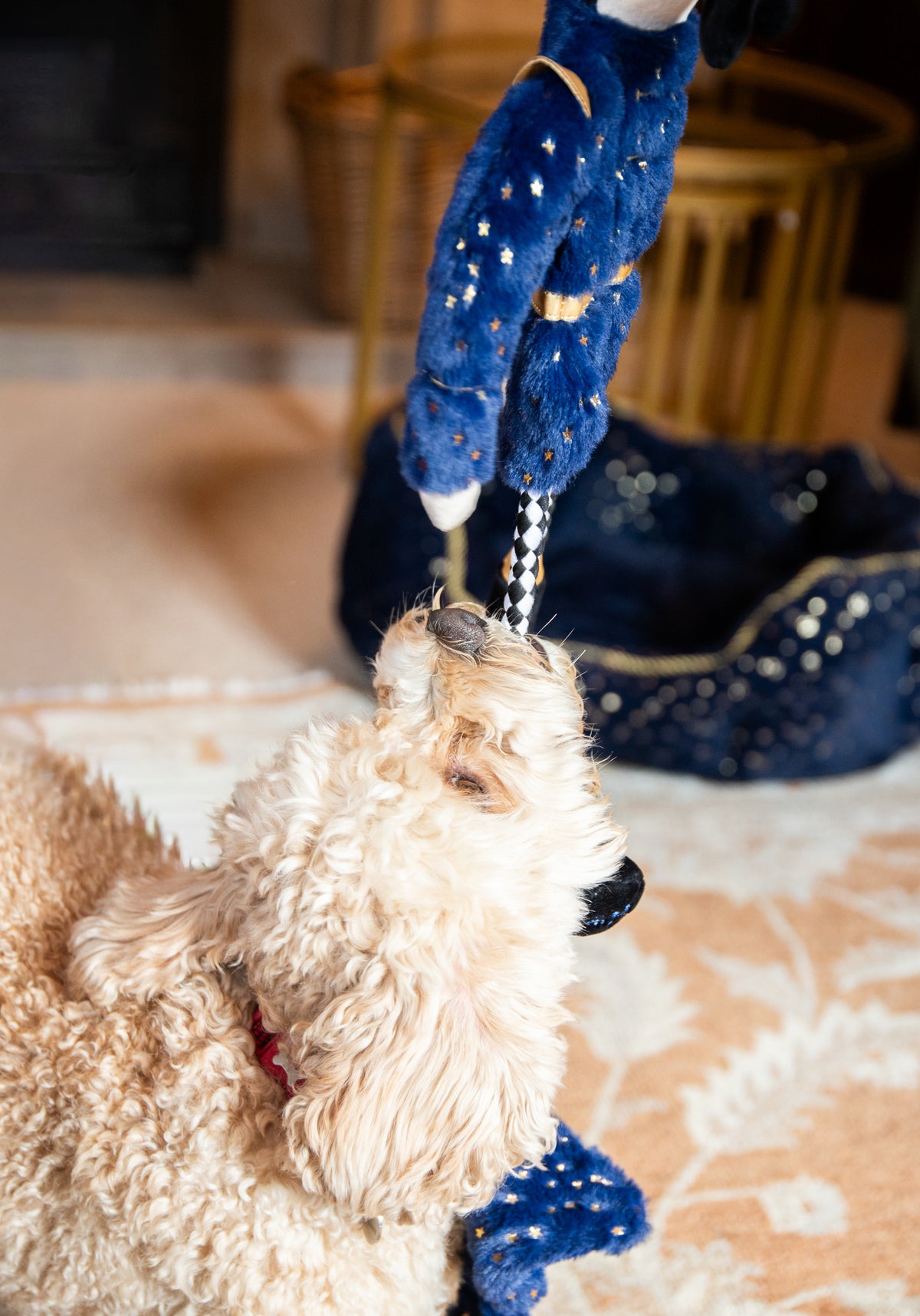 Nermal Nutcracker 🎄 Christmas Dog Toy by Cupid & Comet