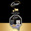 Cesar Garden Terrine with Lamb, Turkey & Green Beans Wet Dog Food