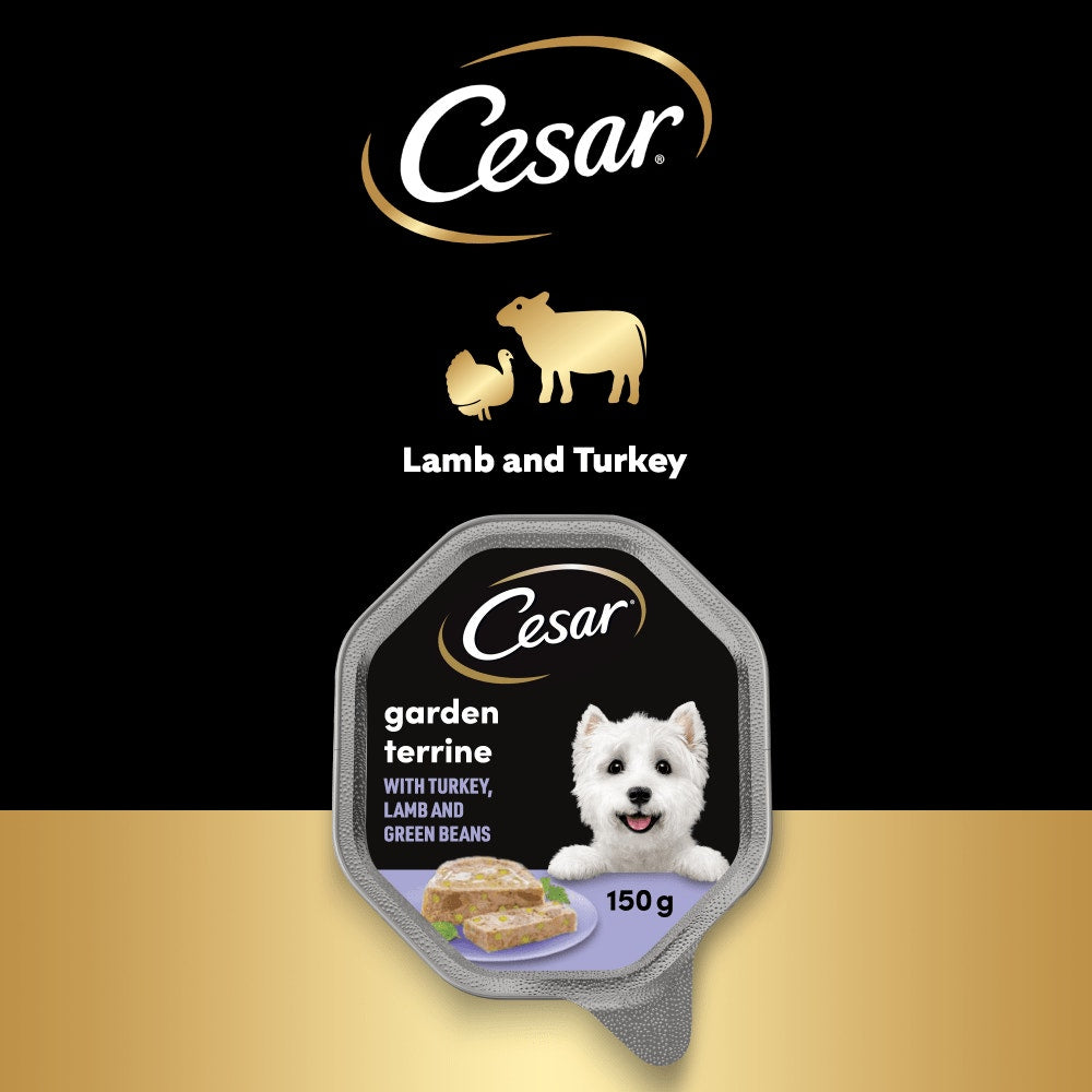 Cesar Garden Terrine with Lamb, Turkey & Green Beans Wet Dog Food