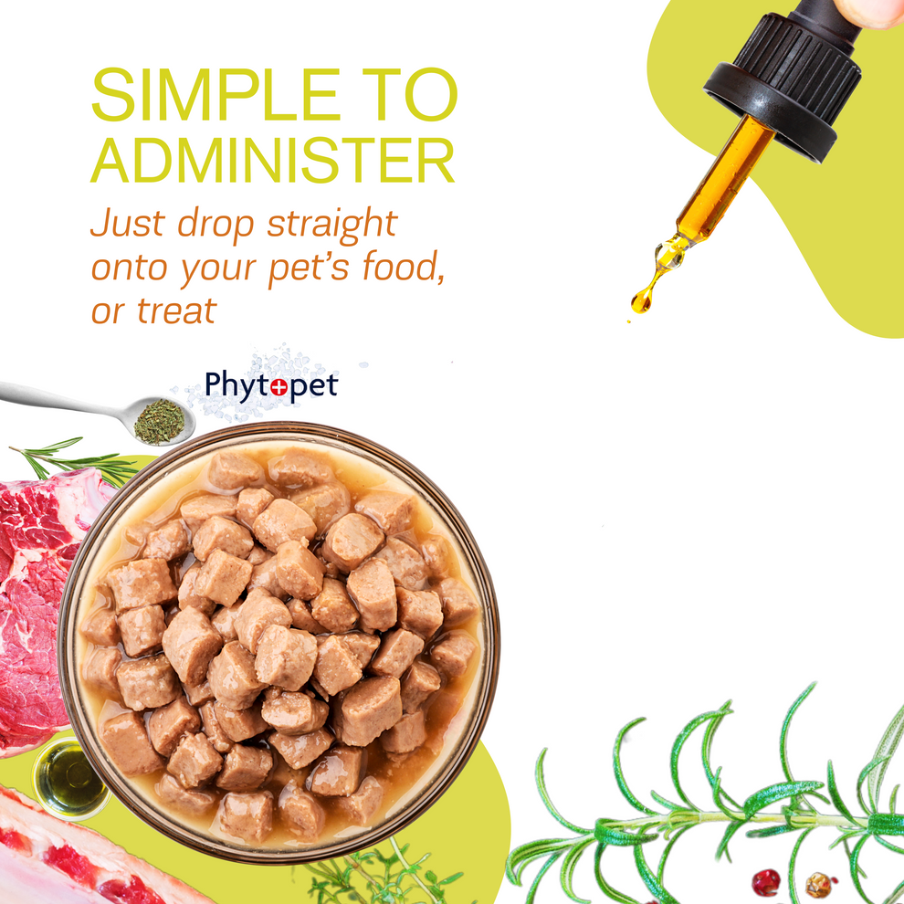 PhytoPet | Raspberry Leaf | Reproductive Boost & Phantom Pregnancy Supplement for Dogs