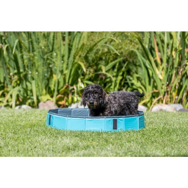 Trixie | Dog Swimming & Padding Pool | Heatwave & Summer Pet Care
