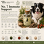 Wild&Seed Herbs No. 7 Abwehrkraft | Natural Immune & Gut Support for Dogs