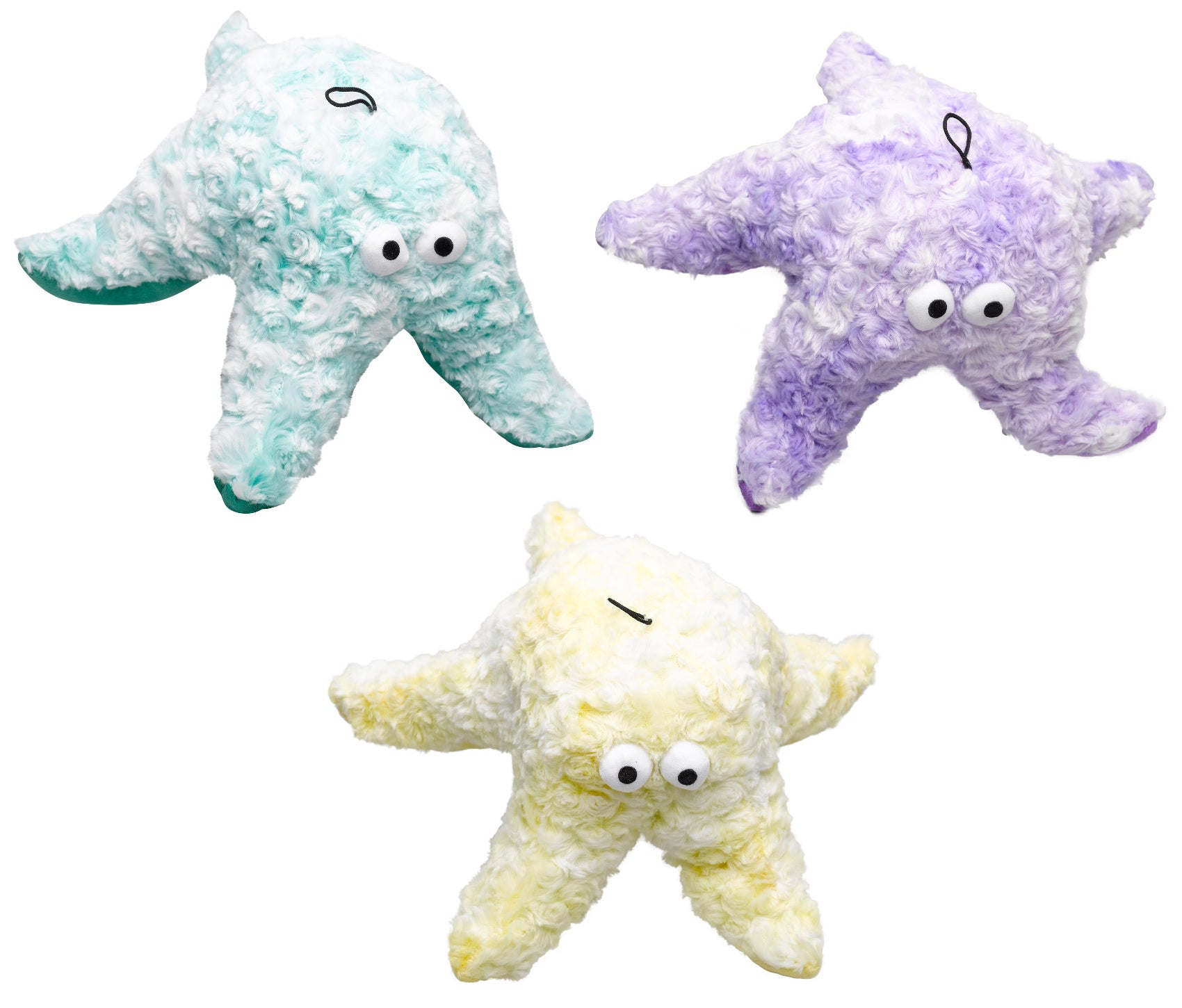 Three plush dog toys shaped like starfish in teal, purple, and yellow on a white background.