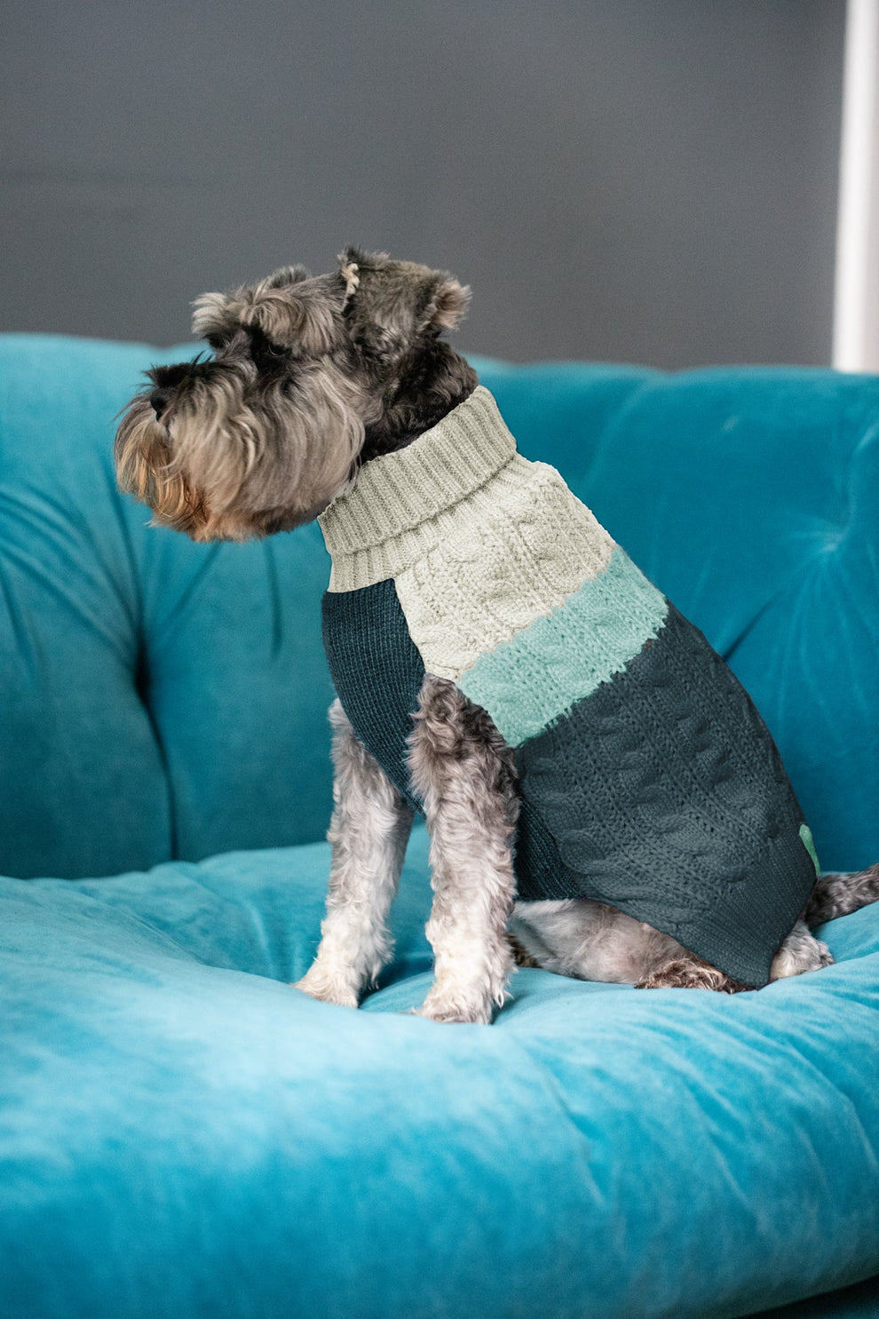 Sötnos Aqua Colour Block Cable Knit Sweater | Dog Jumper