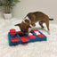 Dog interacting with a puzzle toy on a carpeted floor.