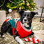 Dog Christmas jumper