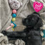 Black puppy playing with a colorful chew toy on a soft surface, with 'Small Bite' branding visible.