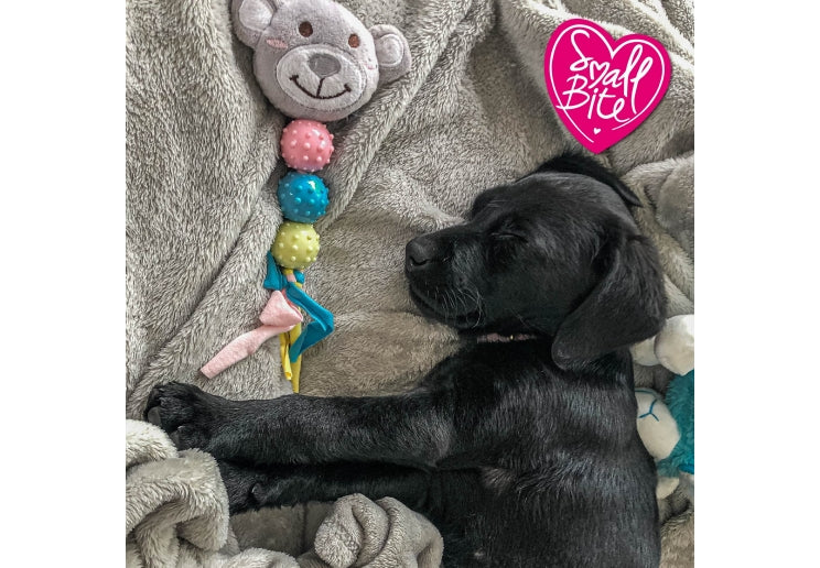 Black puppy playing with a colorful chew toy on a soft surface, with 'Small Bite' branding visible.