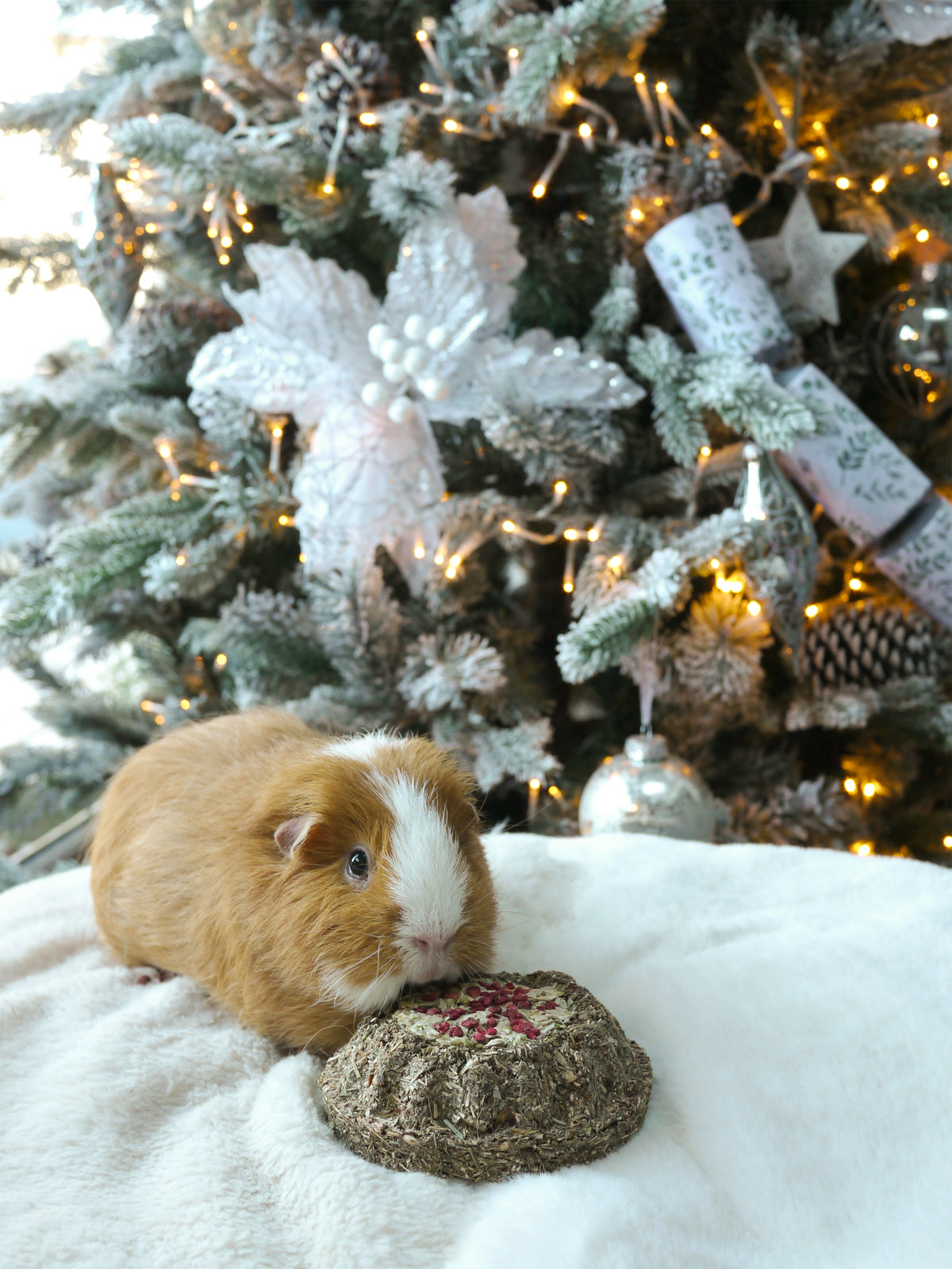 Naturals Herb 'n' Hay Party Gateau 🎄 Small Pet Christmas Treat by Rosewood