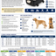 Petmode Aviation Carrier ✈️ IATA-Compliant Travel Kennels for Dogs & Cats