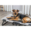 Trixie Dog Lounger STRONG Edition | Raised Cooling Dog Bed with Folding Metal Frame