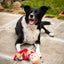 Rosewood Max Monkey | Festive Dog Toy