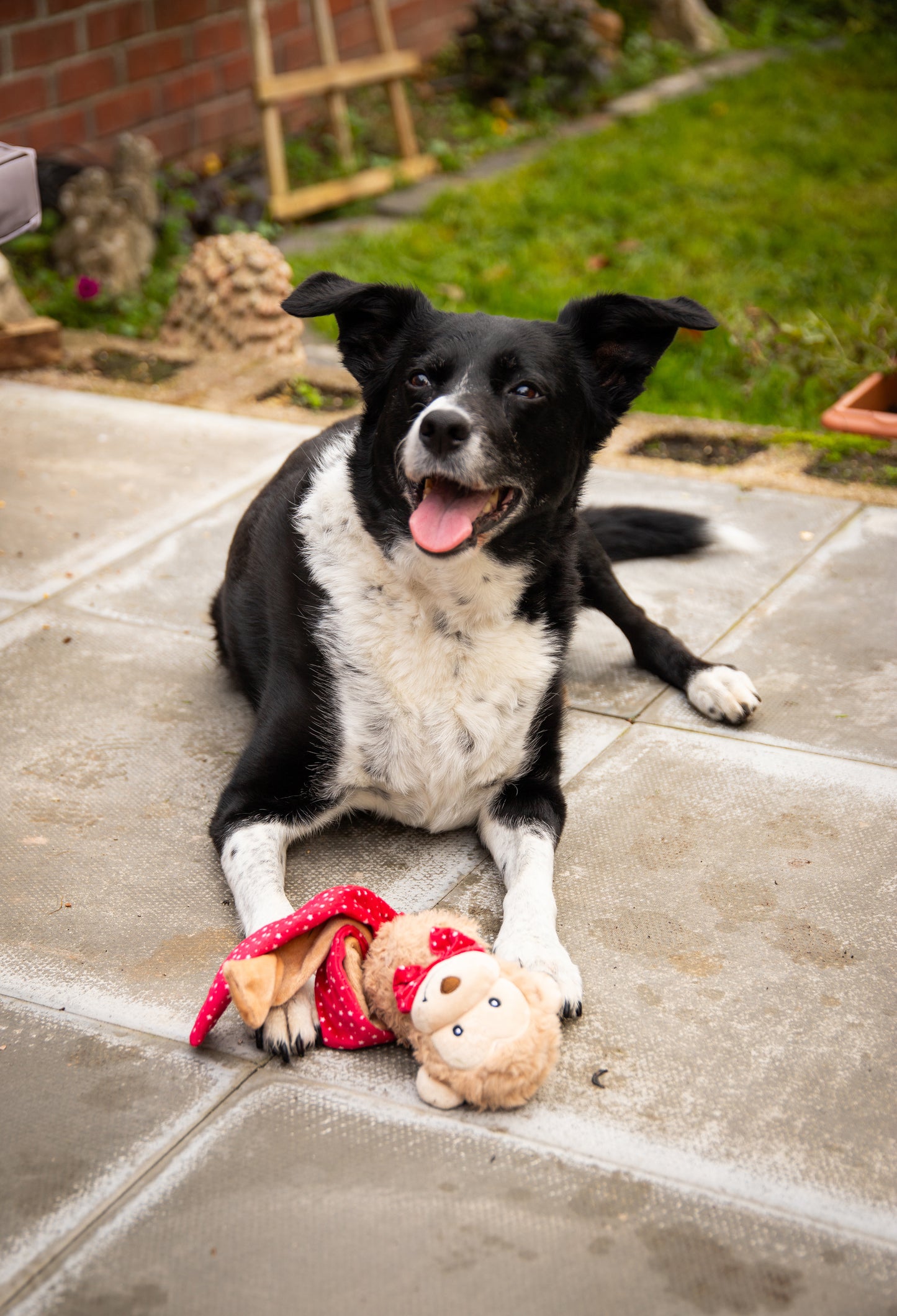 Rosewood Max Monkey | Festive Dog Toy