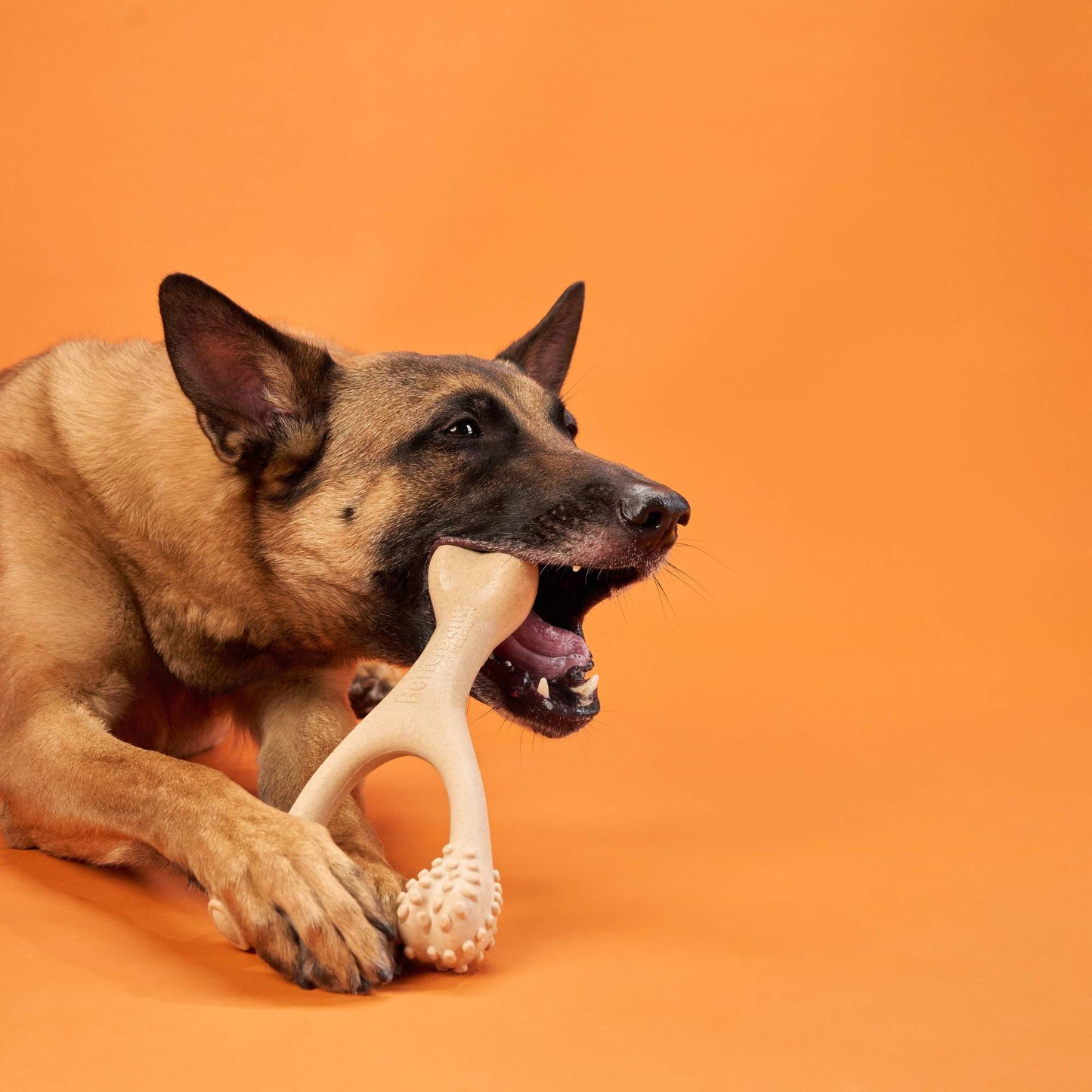 BetterBone | Dog Chew Toy | Hard Durability for Super Tough Chewers - Classic Hypoallergenic Flavour