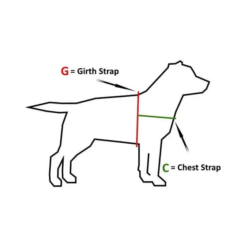 Nobby | Dog Harness | Seguro Comfort - Red