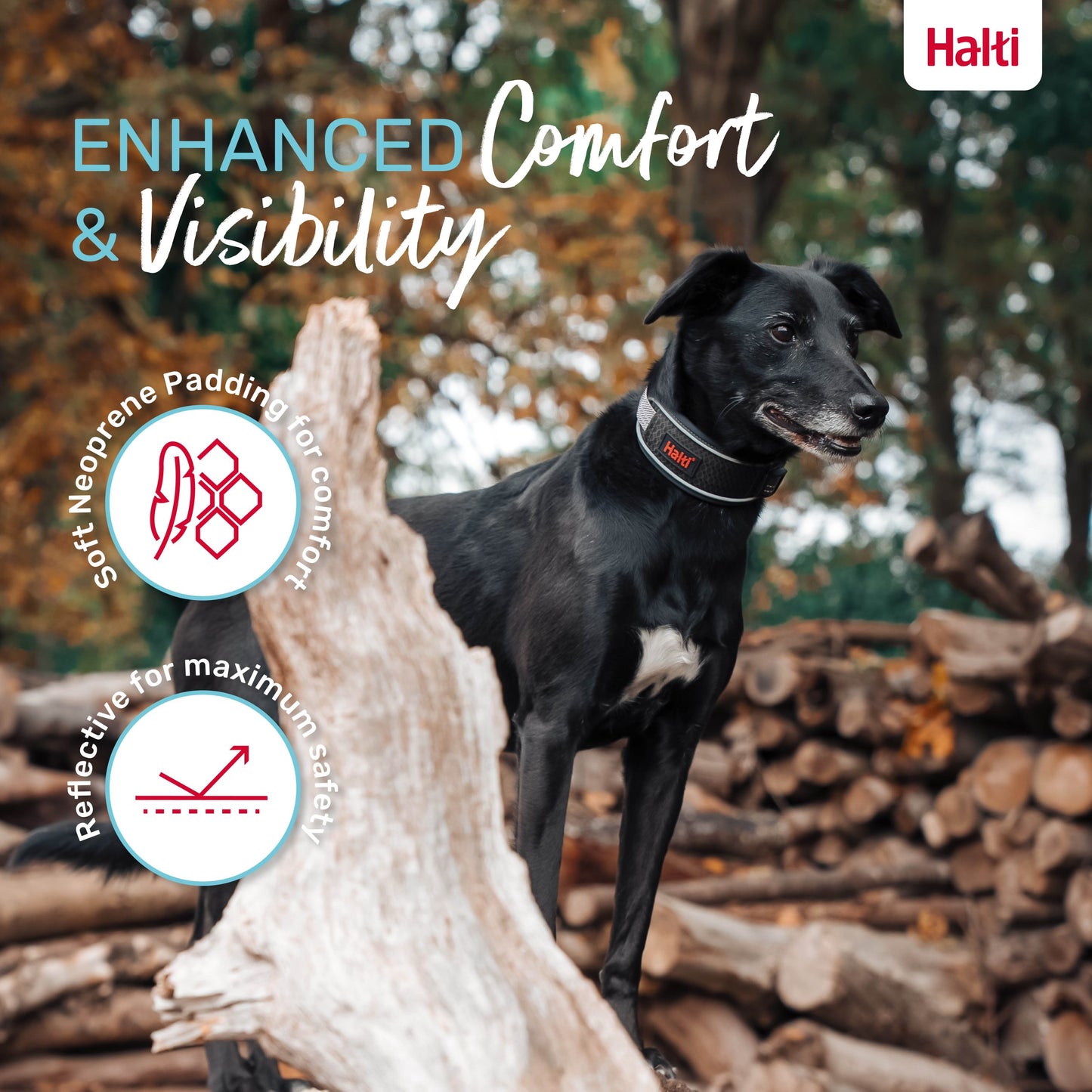 Halti Anatomy Collar - Green | Dog Walking & Training Comfort
