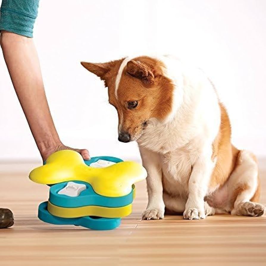 Dog playing with a colorful puzzle toy on a wooden floor.