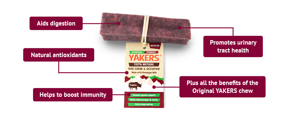 Yakers Cranberry 🍒🧀 Himalyan Yak Milk | Hard Cheese Dog Chew