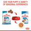 Royal Canin Medium Puppy 🐕 Size Health Nutrition Dry Dog Food