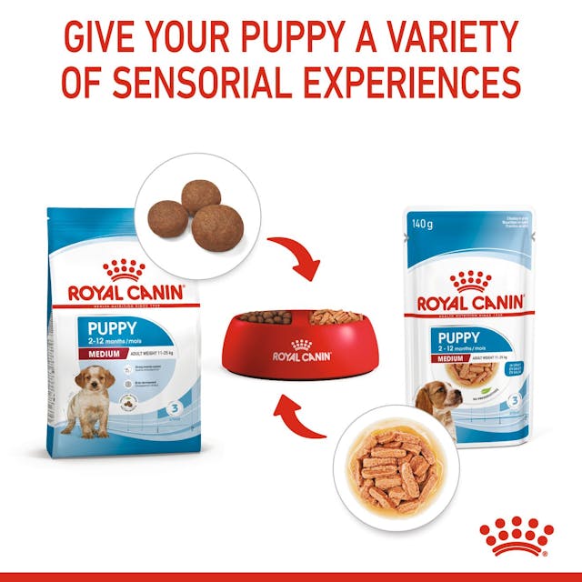 Royal Canin Medium Puppy 🐕 Size Health Nutrition Dry Dog Food