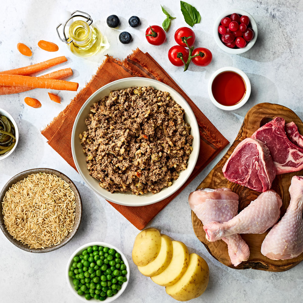 Naturo Chicken, Lamb & Rice with Vegetables 🐔🐑 Gluten Free Wet Dog Food Tray - 400g