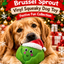 Brussel Sprout Vinyl 🎄 Squeaky Dog Toy by Happy Pet