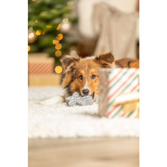Christmas dog toy grey star