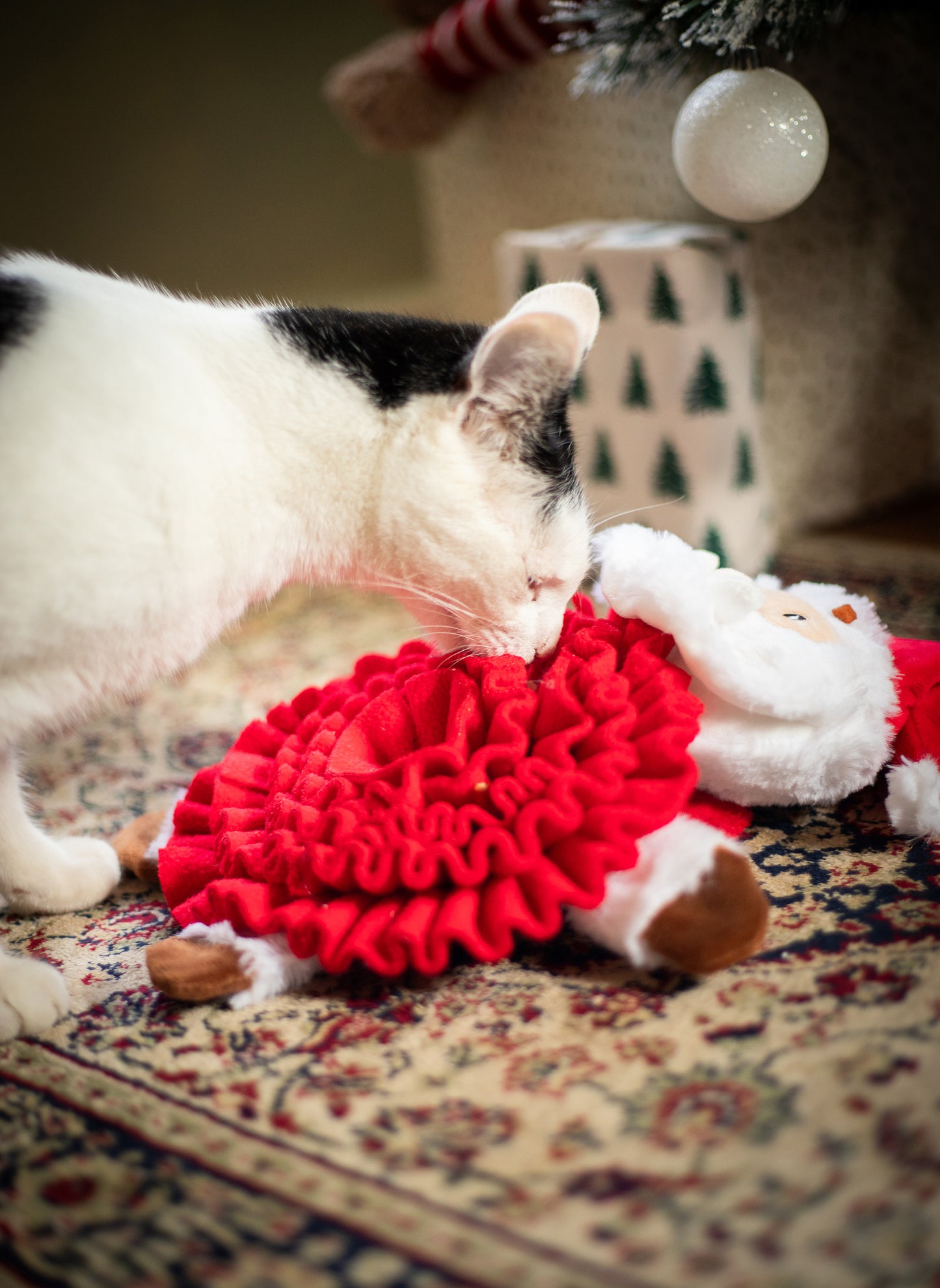 Rosewood Steve Santa Snuffle Mat | Festive Dog Toy