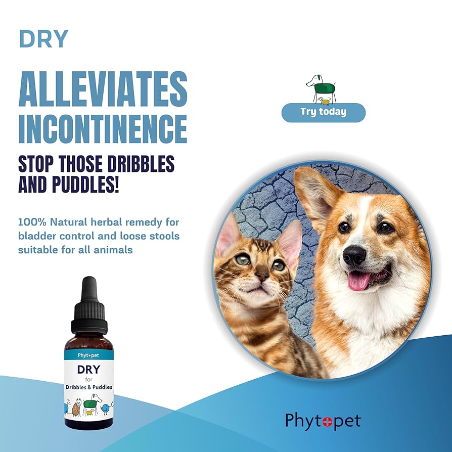 Phytopet | Herbal Remedy for Urinary Function & Bladder Control | Dry for Dribbles & Puddles