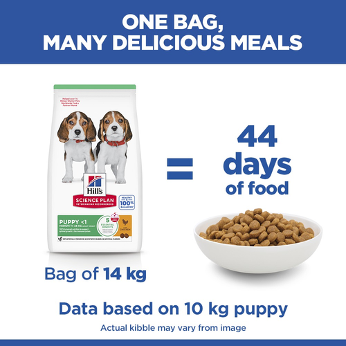 Hill's Science Plan Puppy Chicken 🐔 Medium Breed Dry Dog Food