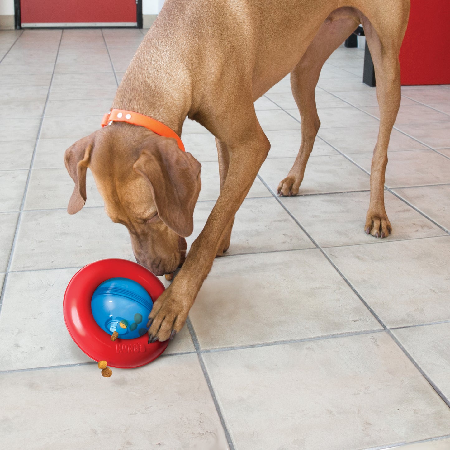 KONG Gyro | Dynamic Dog Treat Dispenser Toy