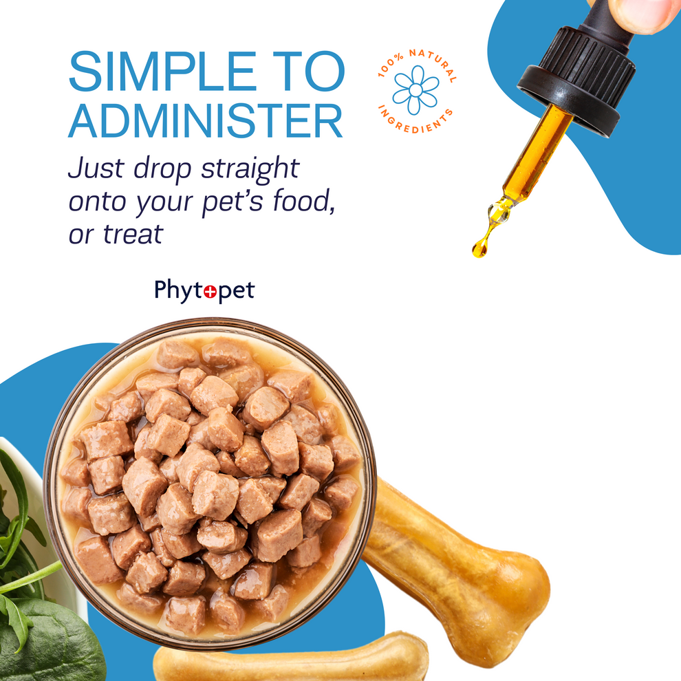 PhytoPet | Travel for Calming Pets with Motion Discomfort & Nausea